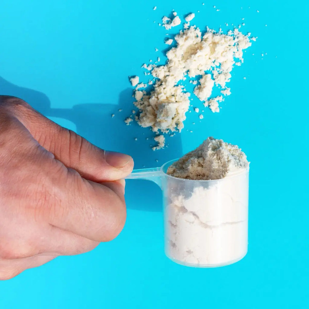 Whey Protein Powder - High-Protein Dietary Supplement - Versatile Source of Nutrition for Athletes and Wellness